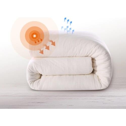 220*240 Thick Comforters Fresh Long-Staple Cotton edredon King blanket Gauze Quilt Core Pregnant edredom Elderly futon duvet