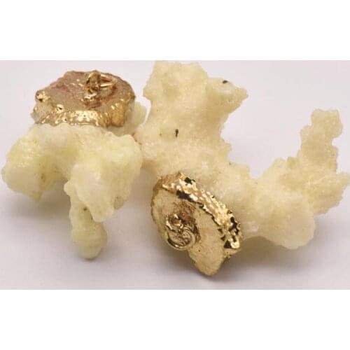 1 Pcs 26mm*16Mm Natural White Coral Accessories Brass Gold Plated Jewelry Components Making Jewelry Diy Crafts JA0019