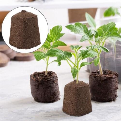 10pcs Soilless Cultivation Inserting Seedlings Plant Fertilizer Nutrient Block Home Garden Vegetable Flower Planter