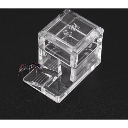 Sequare Design Ant Water Feeder Ant Farm Water Erea For Insect Ant Nests K0AB