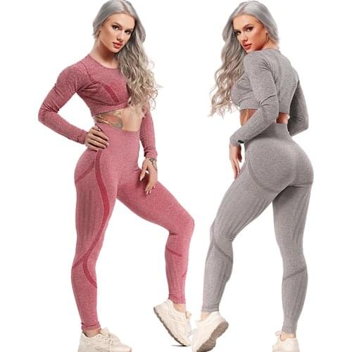 2pcs Seamless Yoga Sets Fitness Sport Suit For Women Tracksuit Gym Clothes Long Sleeve Crop Top Mesh Leggings Workout SportsWear