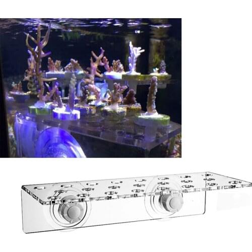Multi Functional White Bottom Filter Plates SPS Phyto Plus Coral Frag Stand Bracket