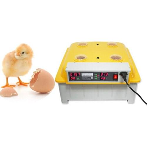 1pc 48 Eggs Digital Clear Egg Incubator Hatcher Electricity Automatic Turning Temperature Control Egg Incubator machine 220V