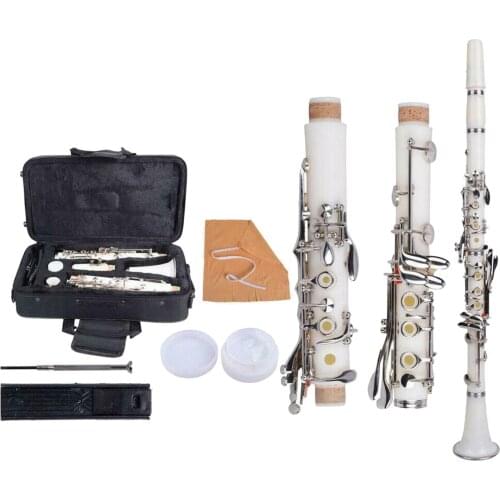 B Flat Beginner Student Clarinet with Case, Cleaning Cloth,Gloves,Reeds,Reeds Clip and Screwdriver Musical Instruments Kit