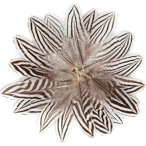 Promotion 20pcs/lot Natural Silver Pheasant Tail Feathers 5-10cm 2-4inches Celebration Jewelry DIY Decoration Plumas