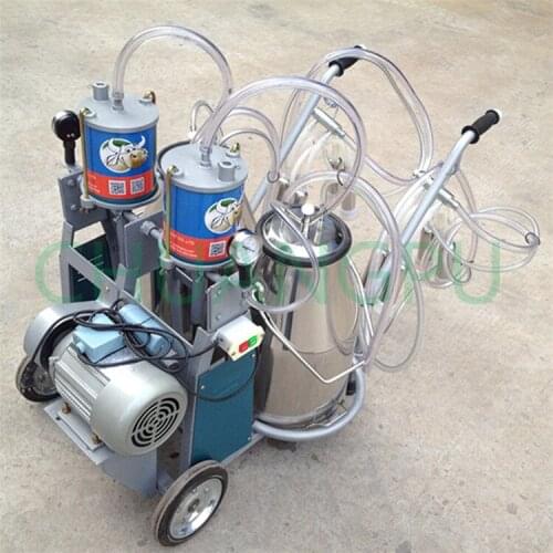 Vacas-milking-machine