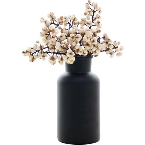 50G Natural Dried Flower Dried Mushroom Grass Dried Fruit Small Ginkgo Flower Arrangement Floral DIY Floral No Vase