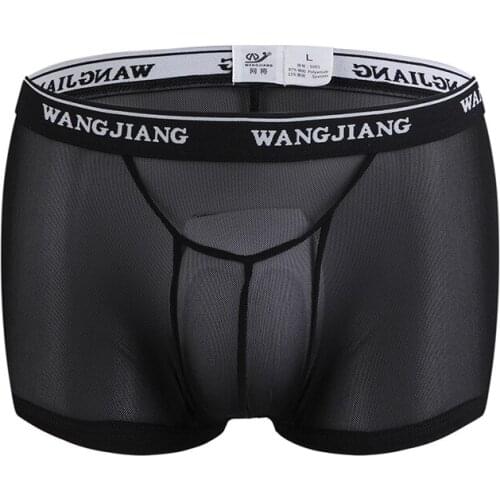 Sexy Fashion Brand Man Sexy Mesh Transparent Boxers Underwear Gay Male Sheer Ultra thin Penis Pouch Shorts Panties Size S M L