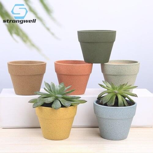 Strongwell Fairy Garden Decoration Flower Pot Home Decoration Accessories Ceramic Pot For Green Plants Planter With Hole Crafts