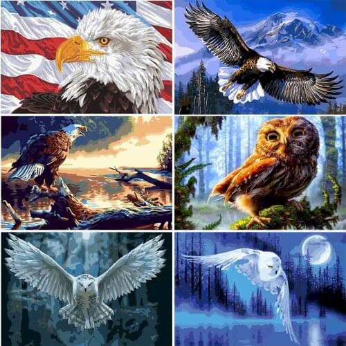 DIY Paints By Numbers Owl Eagle Animals 50x40cm Art Picture Set Coloring Decorative Canvas Wall Artcraft Oil Painting By Numbers