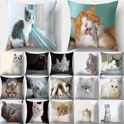 Cute Pet Animal Cat Print Decorative Cushions Pillowcase Peach Skin Cushion Cover Throw Pillow Sofa Room Decoration Pillowcover
