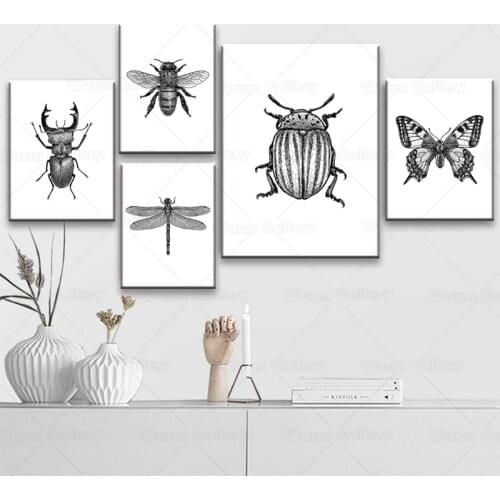 Insect Illustration Black And White Wall Art Canvas Painting Hand Drawn Bugs Insect Posters And Prints Wall Pictures Home Decor