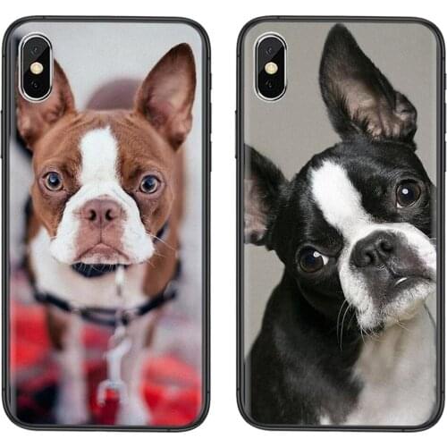Black Hoesjes Pretty For Galaxy Note 20 10 9 8 Lite Pro Ultra M51 M31 M30S A10 A10S A8 A7 A5 J6 J8 2018 Boston Terrier Slim