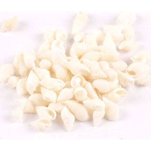100pcs 10-13mm White Mini Spiral Natural Shells Beach Decor Craft For DIY Handmade Jewelery Scrapbook Home Accessories tr0225