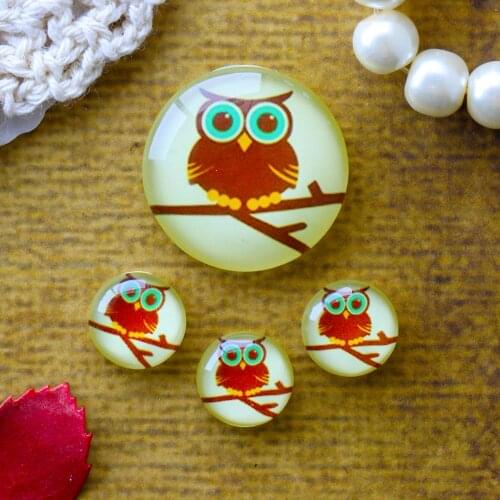 12mm 25mm 14mm 16mm 18mm 20mm Photo Glass Cabochons Round Cameo Set Handmade Settings Stone Owl 042