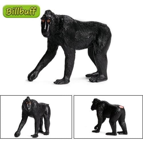 DIY Simulation Animals Solid PVC Orangutan Model Action Figures Collection Miniature Cognition Educational Toy for Children Gift