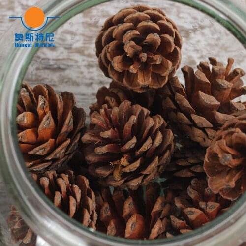 40pcs 2-3cm naturally pine cones with silver sting hanging for Christmas decoration