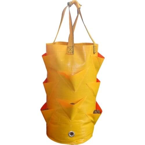 Multi-mouth Container Bag Grow Planter Pouch Root Plant Yellow Growing Pot Side 3 Gallons Z30604