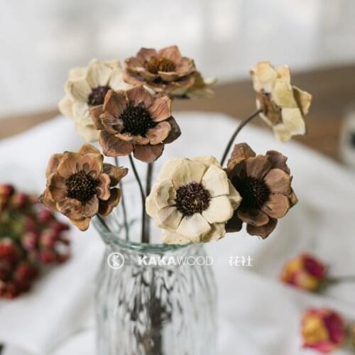 Northern European-Style Soft Decoration Accessories Handmade Dried Flowers Dried Fruit Fruit Fruit Shell Flower Home Ornament