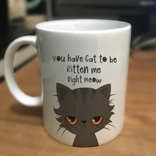 Funny Cat Mug You Have Cat To Be Kitten Me Right Meow 11 Ounce Ceramic Mugs. A Great Birthday Surprise for Cat Lovers Gift Mug