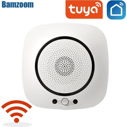 Bamzoom Carbon Monoxide Detectors