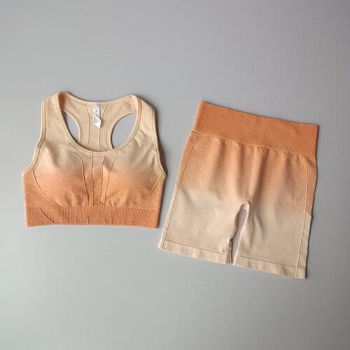 LANTECH Women Sports Suits Set Yoga Sets Gym Fitness Exercise Shorts Sportswear Sports Bra Clothing Activewear Clothes Lifting