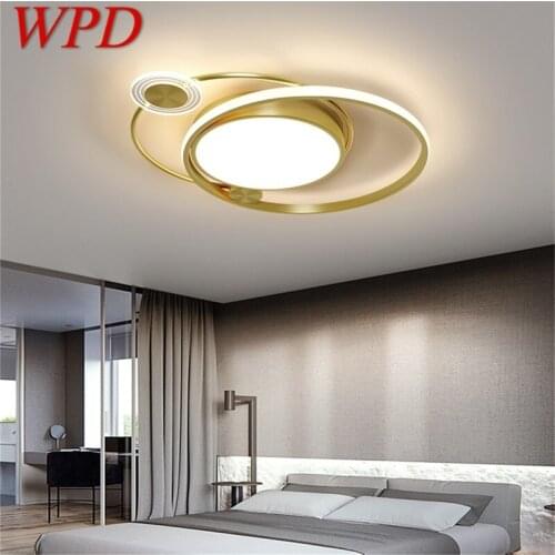 WPD Nordic Ceiling Light Modern Creative Gold Lamp Fixtures LED Home For Living Dining Room