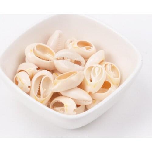 Natural Creamy White Sea Shell Loose Beads Accessories For Handmade Home Decoration Craft 10-23mm 50pcs