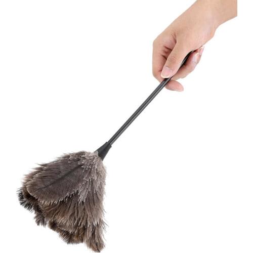 EECOO Dust Brushes