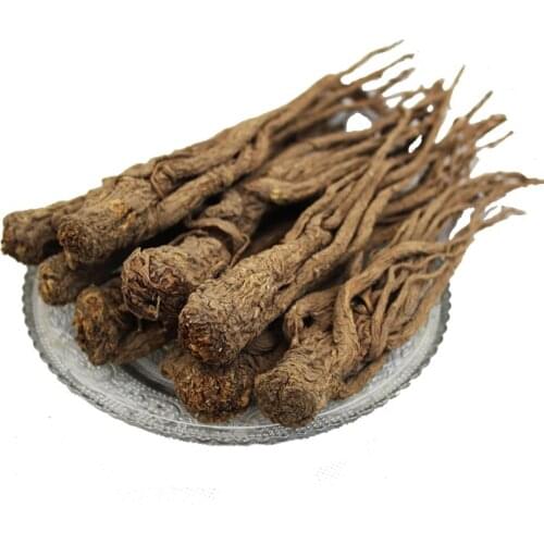 Angelicae Sinensis Radix / Chinese Angelica Root (DANG GUI) Dry