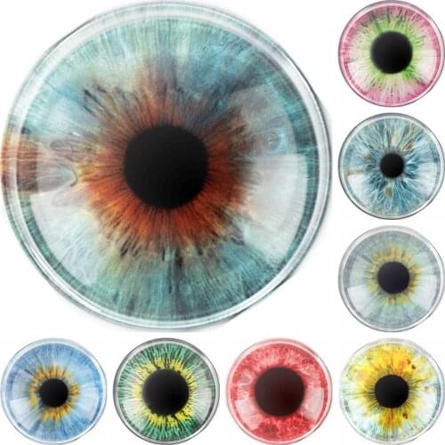 Handmade 6 Size Glass Mixed Dragon Lizard Frog Round Flatback Camo Cabochon Domed DIY Jewelry Charm Photo Pendant Setting