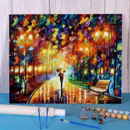 Reincarnation Paint By Numbers Set Oil Paints 50*70 Painting On Canvas Home Decoration For Handicraft