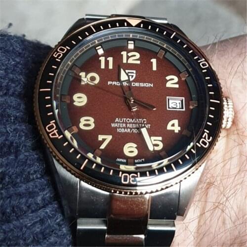 Mechanical Mens Watches PAGANI DESIGN 2021 Watch Mens Watch Automatic New Luxury Waterproof Sport Wrist Watch Stainless Steel