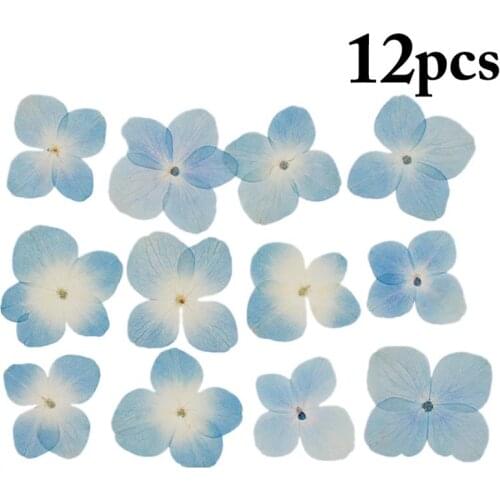 12Pcs/Pack Dried Flowers Hydrangea Decor Accessories Pressed Flowers Craft Flowers For Wedding DIY Manual Making Accessories