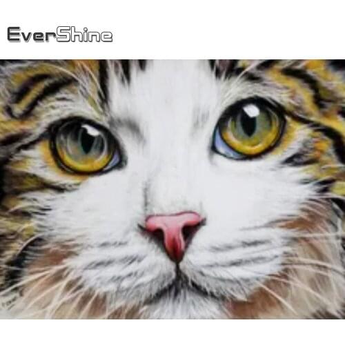 Evershine Diamond Painting Cat 5D DIY Full Square Round Diamond Embroidery Sale Animal Cross Stitch Mosaic Home Decor Gift