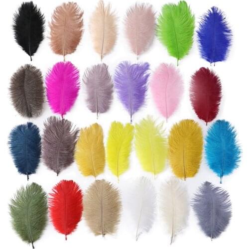 10 Pcs Beautiful Ostrich Feathers Dyed for DIY Jewelry Craft Making Wedding Party Decoration Accessories 15-20CM/6-8 inch