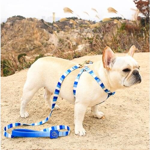 Dogs Accessories Pitbull Small Medium Dog Collar Stripe Pattern Adjustable Harness and Leash Set Breast-band Pet Harness for Dog