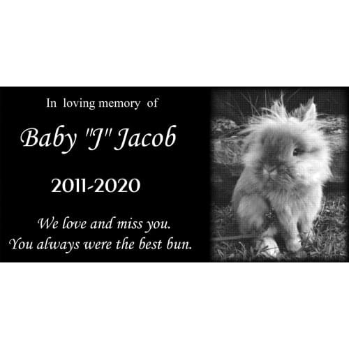 Natural Granite Personalized Pet Memorial Stone, Creative Pets Tombstone, 30X15CM
