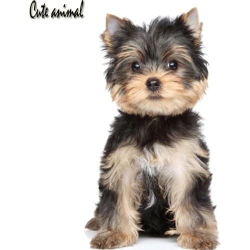 DIY 5D Full Diamond Painting Cross Stitch cute animal dog picture Mosaic Diamond Embroidery Needlework kids painting wall art