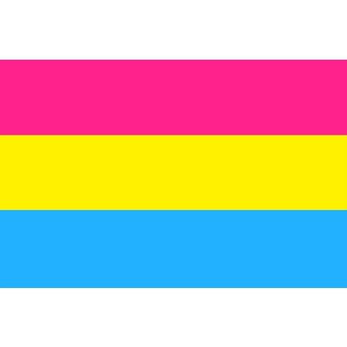 Free Shipping xvggdg flag Pansexuality Flag 150X90CM Banner 100D Polyester Custom flag grommets Pan Sexual Flag