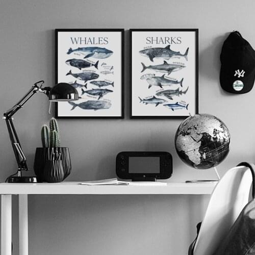 Whale Shark Specimen Marine life Wall Art Paper Canvas Painting Nordic Posters And Prints Wall Pictures For Living Room Decor
