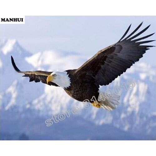 Full Square Diamond 5D DIY Diamond Painting Animal Eagle Embroidery Cross Stitch Rhinestone Mosaic Painting Home Decor BFC344