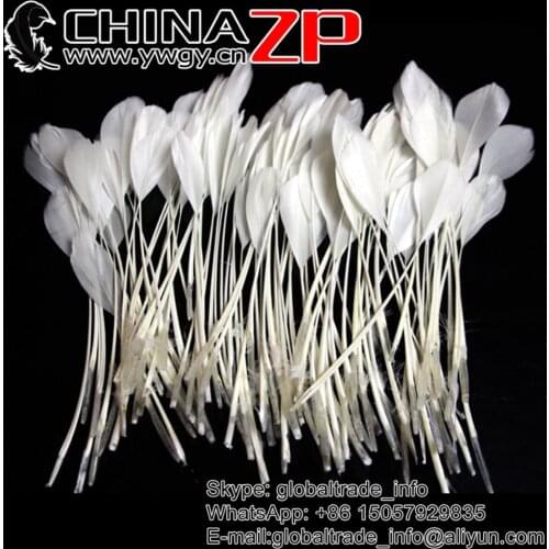 Manufacturer in CHINAZP Factory 100pcs/lot Beautiful Bleached WHITE Stripped Goose Feathers