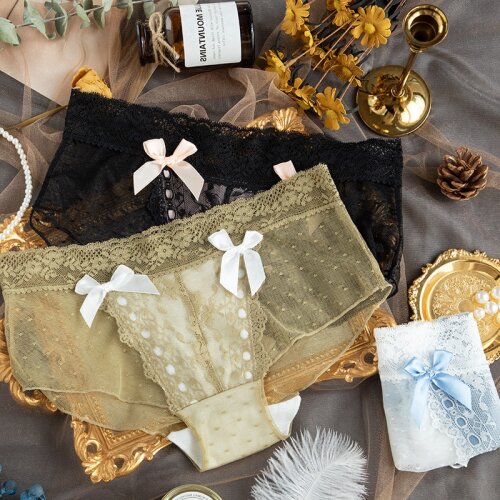 New Fashion Underwear Panties Women Sexy Lace Underpants Low Waist Seamless Briefs Ladies Transparent Boxers Female Lingerie