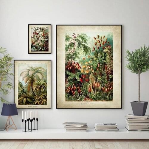 Vintage Ernst Haeckel Biology Poster Hummingbird Palm Tree Botanical Wall Art Prints Plant Canvas Painting Office Home Decor