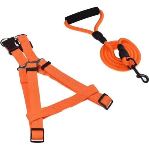 The dog protective car seat cushion and pet cushion are waterproof and ideal for transporting dogs for Toyota car