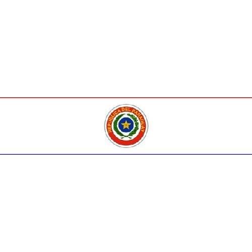 Printed vinyl sticker for car, wall, door, fridge, folder, etc Flag of paraguay