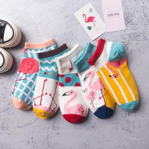 Spring and Summer Socks 2019 New Autumn Casual Ladies Boat Socks Bird Cartoon Pure Cotton Trend Women Pink Ankle Socks