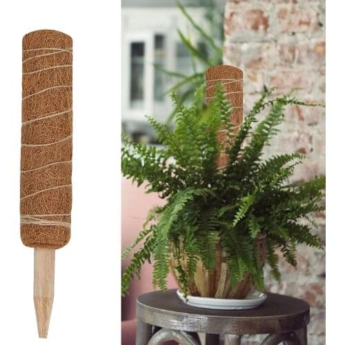 30CM Coir Totem Pole Extendable Coir Moss Stick Coir Totem Pole For Plant Support Extension Climbing Indoor Plants Creepers