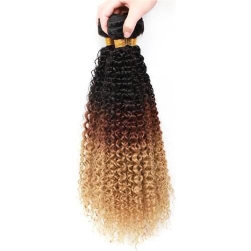Afro Curly Hair Bundles For African Women Synthetic High Temperature Fiber Hair Weaving Three Tone Ombre Color T1B/4/27 100g